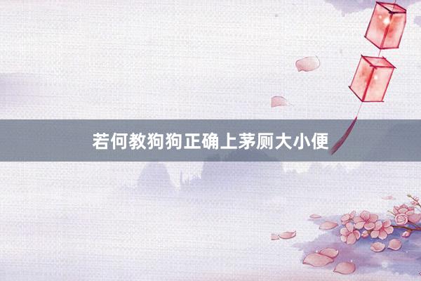 若何教狗狗正确上茅厕大小便