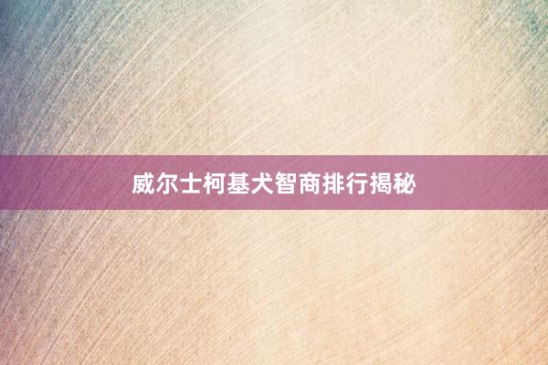 威尔士柯基犬智商排行揭秘